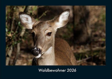 Tobias Becker: Waldbewohner 2026 Fotokalender DIN A4, Kalender