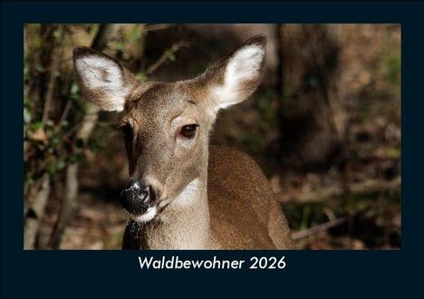 Tobias Becker: Waldbewohner 2026 Fotokalender DIN A5, Kalender