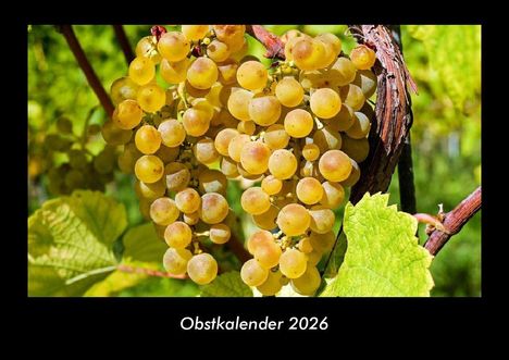 Tobias Becker: Obstkalender 2026 Fotokalender DIN A3, Kalender