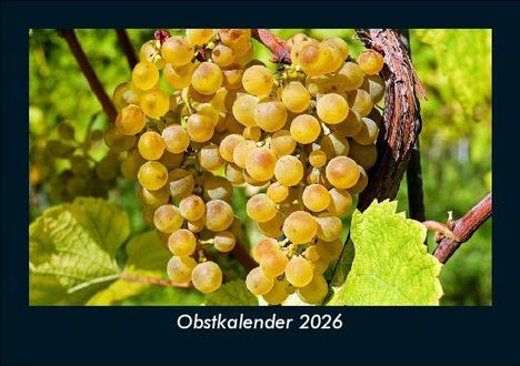 Tobias Becker: Obstkalender 2026 Fotokalender DIN A5, Kalender