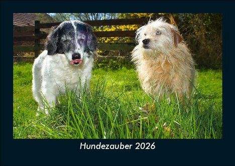 Tobias Becker: Hundezauber 2026 Fotokalender DIN A5, Kalender