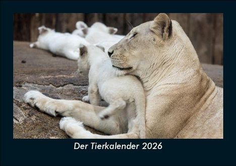 Tobias Becker: Der Tierkalender 2026 Fotokalender DIN A5, Kalender