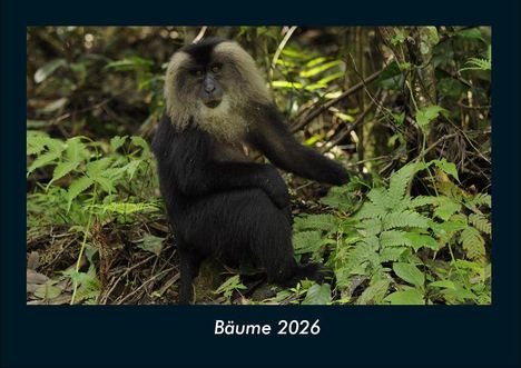 Tobias Becker: Bäume 2026 Fotokalender DIN A4, Kalender