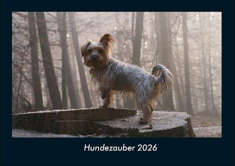 Tobias Becker: Hundezauber 2026 Fotokalender DIN A4, Kalender