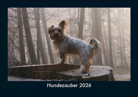 Tobias Becker: Hundezauber 2026 Fotokalender DIN A5, Kalender