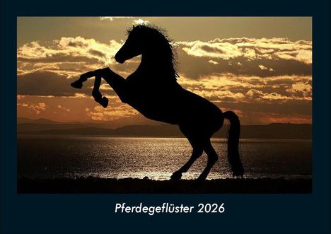 Tobias Becker: Pferdegeflüster 2026 Fotokalender DIN A4, Kalender