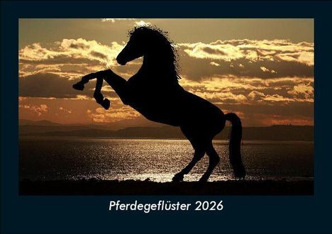 Tobias Becker: Pferdegeflüster 2026 Fotokalender DIN A5, Kalender