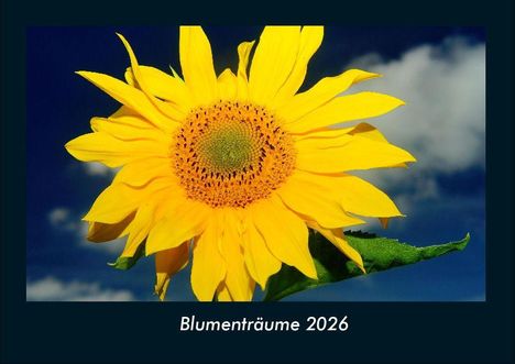 Tobias Becker: Blumenträume 2026 Fotokalender DIN A4, Kalender