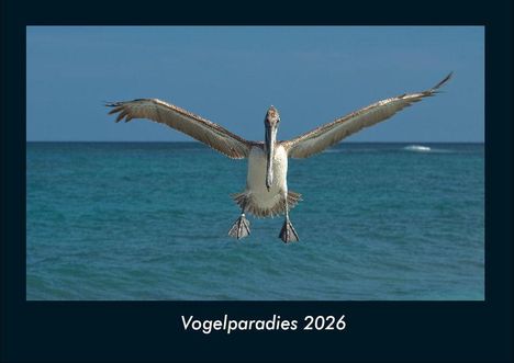 Tobias Becker: Vogelparadies 2026 Fotokalender DIN A4, Kalender