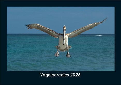 Tobias Becker: Vogelparadies 2026 Fotokalender DIN A5, Kalender