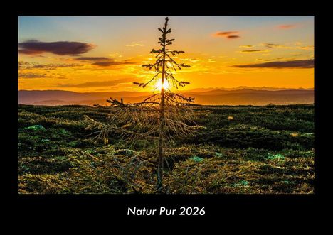Tobias Becker: Natur Pur 2026 Fotokalender DIN A3, Kalender
