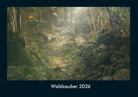 Tobias Becker: Waldzauber 2026 Fotokalender DIN A4, Kalender
