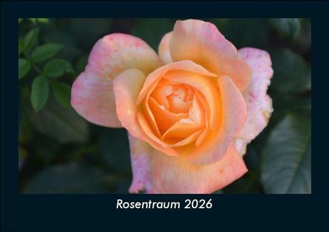 Tobias Becker: Rosentraum 2026 Fotokalender DIN A5, Kalender