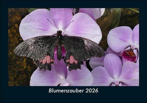 Tobias Becker: Blumenzauber 2026 Fotokalender DIN A5, Kalender