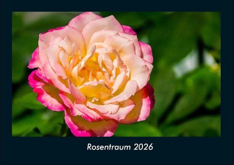 Tobias Becker: Rosentraum 2026 Fotokalender DIN A4, Kalender