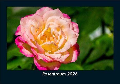 Tobias Becker: Rosentraum 2026 Fotokalender DIN A5, Kalender