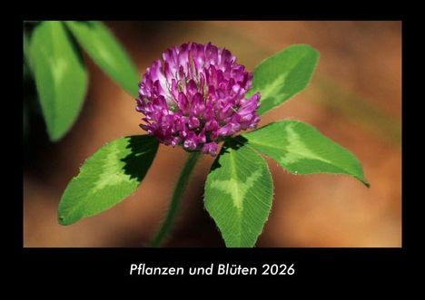 Tobias Becker: Pflanzen und Blüten 2026 Fotokalender DIN A3, Kalender