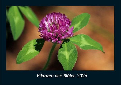 Tobias Becker: Pflanzen und Blüten 2026 Fotokalender DIN A4, Kalender