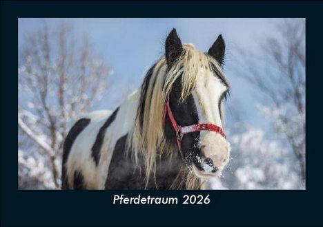 Tobias Becker: Pferdetraum 2026 Fotokalender DIN A5, Kalender