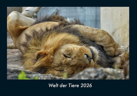 Tobias Becker: Welt der Tiere 2026 Fotokalender DIN A4, Kalender