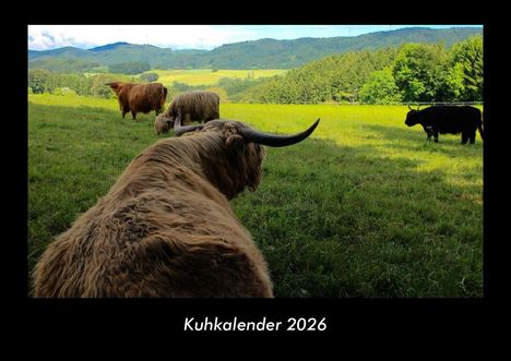Tobias Becker: Kuhkalender 2026 Fotokalender DIN A3, Kalender