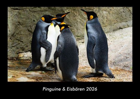 Tobias Becker: Pinguine & Eisbären 2026 Fotokalender DIN A3, Kalender
