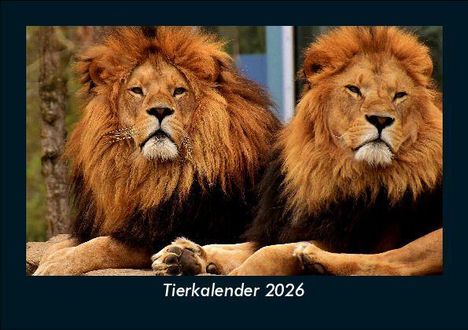 Tobias Becker: Tierkalender 2026 Fotokalender DIN A5, Kalender