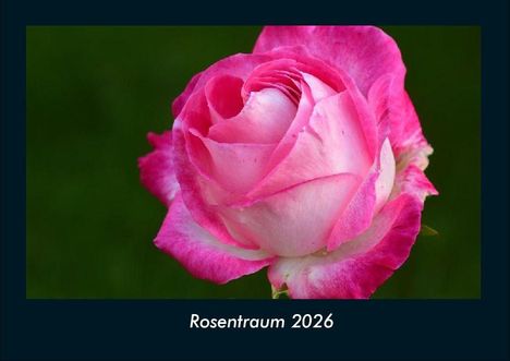 Tobias Becker: Rosentraum 2026 Fotokalender DIN A4, Kalender