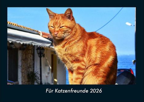 Tobias Becker: Für Katzenfreunde 2026 Fotokalender DIN A4, Kalender