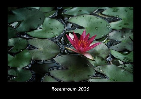 Tobias Becker: Rosentraum 2026 Fotokalender DIN A3, Kalender