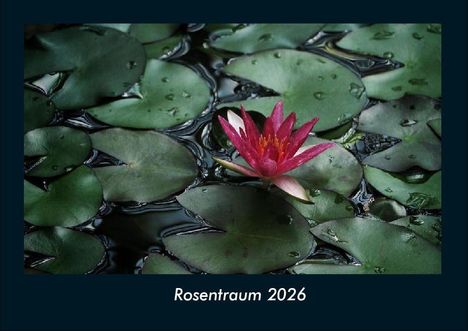 Tobias Becker: Rosentraum 2026 Fotokalender DIN A4, Kalender
