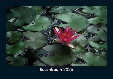 Tobias Becker: Rosentraum 2026 Fotokalender DIN A5, Kalender