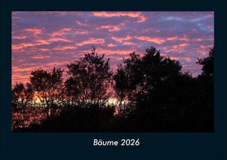 Tobias Becker: Bäume 2026 Fotokalender DIN A4, Kalender