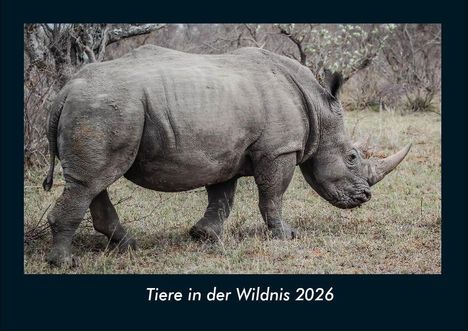 Tobias Becker: Tiere in der Wildnis 2026 Fotokalender DIN A4, Kalender