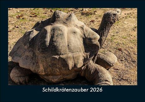Tobias Becker: Schildkrötenzauber 2026 Fotokalender DIN A5, Kalender