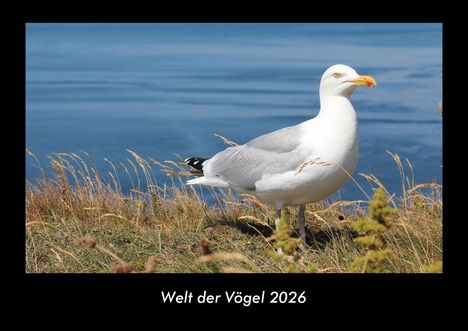Tobias Becker: Welt der Vögel 2026 Fotokalender DIN A3, Kalender