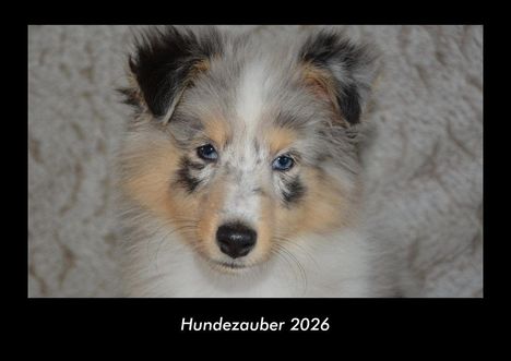 Tobias Becker: Hundezauber 2026 Fotokalender DIN A3, Kalender