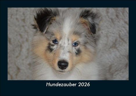 Tobias Becker: Hundezauber 2026 Fotokalender DIN A5, Kalender