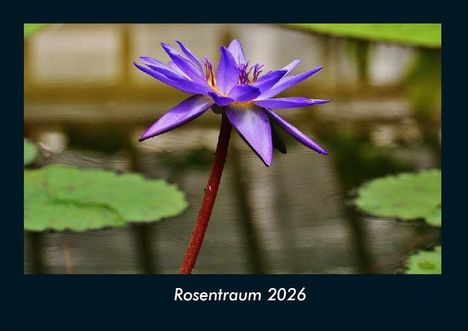 Tobias Becker: Rosentraum 2026 Fotokalender DIN A4, Kalender