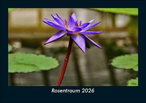 Tobias Becker: Rosentraum 2026 Fotokalender DIN A5, Kalender