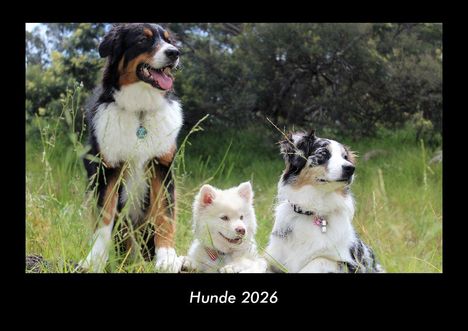 Tobias Becker: Hunde 2026 Fotokalender DIN A3, Kalender