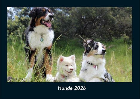 Tobias Becker: Hunde 2026 Fotokalender DIN A4, Kalender