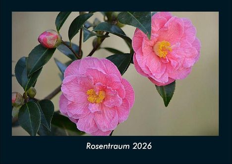 Tobias Becker: Rosentraum 2026 Fotokalender DIN A4, Kalender