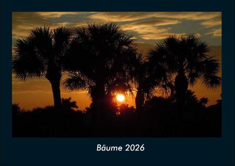Tobias Becker: Bäume 2026 Fotokalender DIN A4, Kalender