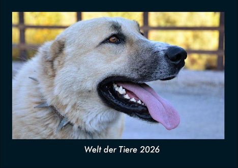 Tobias Becker: Welt der Tiere 2026 Fotokalender DIN A4, Kalender