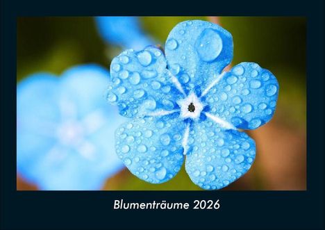 Tobias Becker: Blumenträume 2026 Fotokalender DIN A4, Kalender