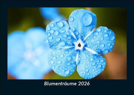 Tobias Becker: Blumenträume 2026 Fotokalender DIN A5, Kalender
