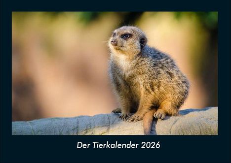 Tobias Becker: Der Tierkalender 2026 Fotokalender DIN A4, Kalender