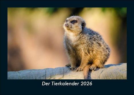 Tobias Becker: Der Tierkalender 2026 Fotokalender DIN A5, Kalender