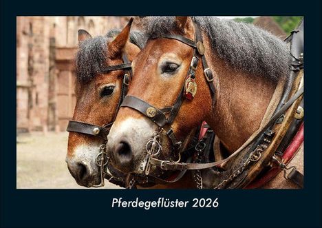 Tobias Becker: Pferdegeflüster 2026 Fotokalender DIN A4, Kalender